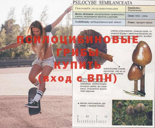 меф Богданович