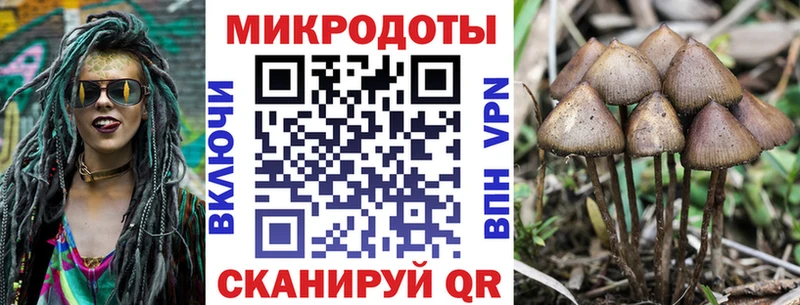 Псилоцибиновые грибы Magic Shrooms как найти закладки Вязники